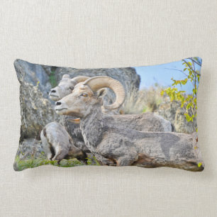 Mountain Sheep Pillow