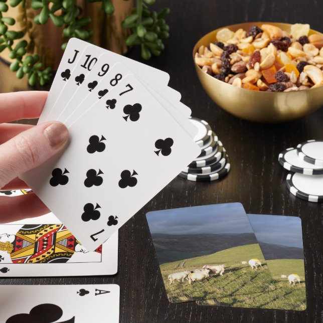 MOUNTAIN SHEEP PLAYING CARDS (In Situ)