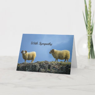 Mountain Sheep Sympathy Card