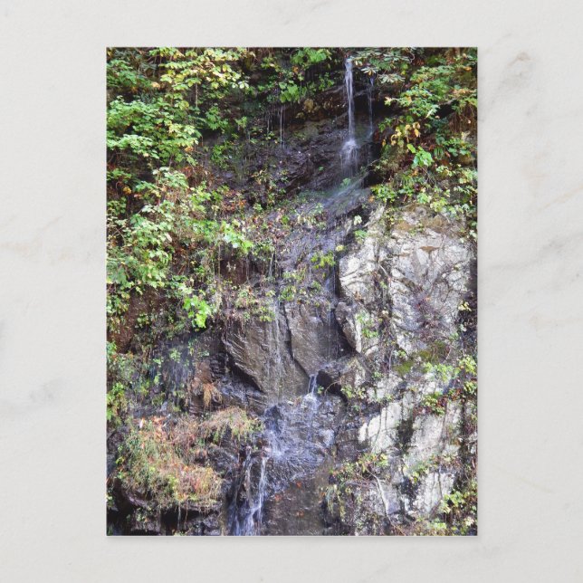 Mountain Spring Postcard (Front)