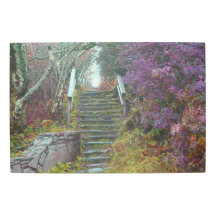 Mountain stairs to Waterrock Knob, Waynesville NC.