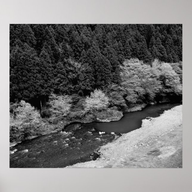 Mountain Stream in Black & White Poster (Front)