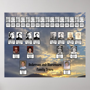 Mountain Sunset Golden Rays Photo Two Family Trees Poster