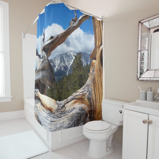 Mountain Through a Tree Shower Curtain (In Situ)