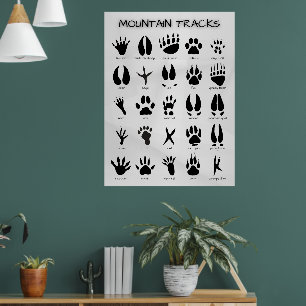 Mountain Tracks Poster
