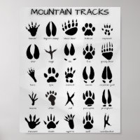 Mountain Tracks Poster