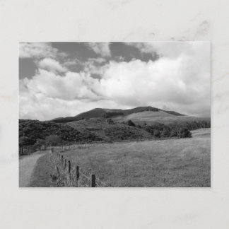 "Mountain Trail" Postcard