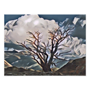 MOUNTAIN TREE    PHOTO PRINT