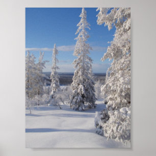 Mountain Trees 1 Poster