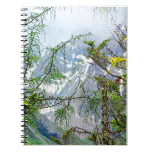 mountain trees,nature trees,forest landscape   notebook