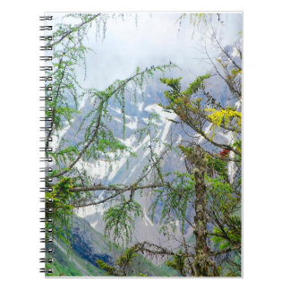 mountain trees,nature trees,forest landscape notebook