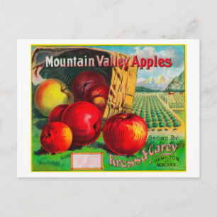 Mountain Valley Apple LabelHamilton, MT Postcard