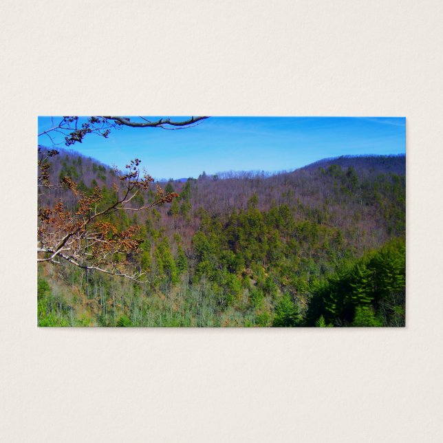 Mountain View (Front)
