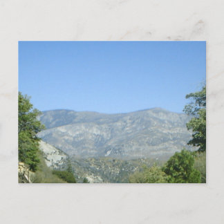 Mountain View Postcard! Postcard