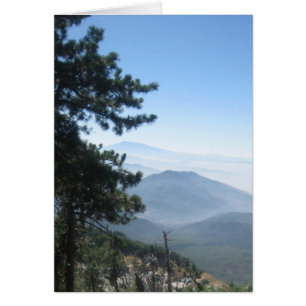 Mountain Vista