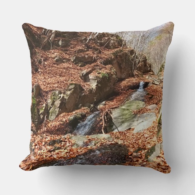 Mountain Waterfall - Wild Nature Romania Throw Pillow (Front)