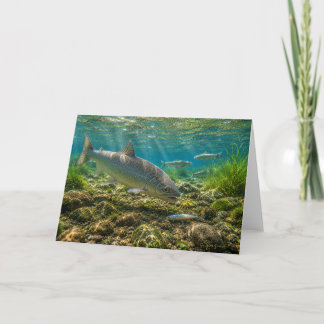 Mountain Whitefish Greeting Card