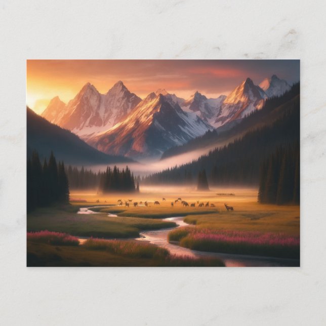 Mountain Wildlife at Daybreak Postcard (Front)