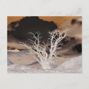 MOUNTAIN WINTER POSTCARD