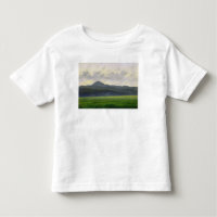 Mountainous landscape