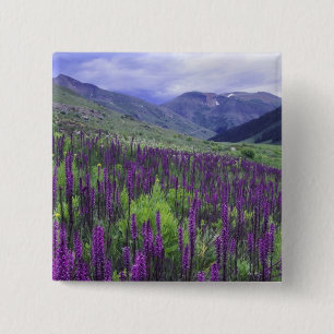 Mountains and wildflowers in alpine meadow, 2 inch square button