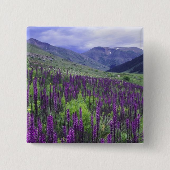 Mountains and wildflowers in alpine meadow, 2 inch square button (Front)