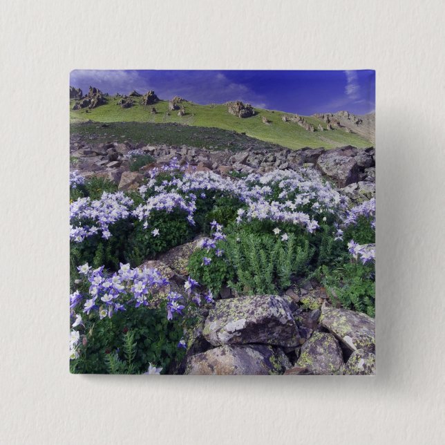 Mountains and wildflowers in alpine meadow, 2 inch square button (Front)