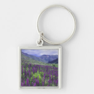 Mountains and wildflowers in alpine meadow, 2 keychain