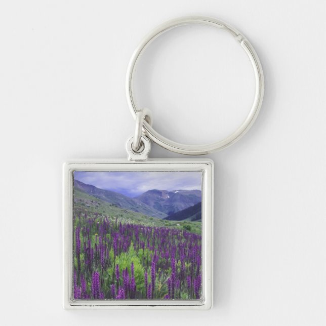 Mountains and wildflowers in alpine meadow, 2 keychain (Front)