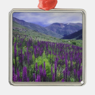 Mountains and wildflowers in alpine meadow, 2 metal ornament