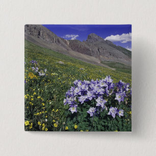Mountains and wildflowers in alpine meadow, Blue 2 Inch Square Button