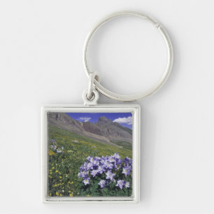 Mountains and wildflowers in alpine meadow, Blue Keychain