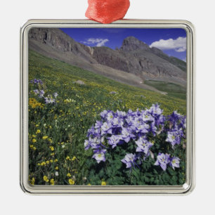 Mountains and wildflowers in alpine meadow, Blue Metal Ornament