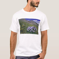 Mountains and wildflowers in alpine meadow, Blue