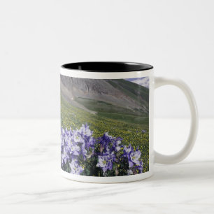 Mountains and wildflowers in alpine meadow, Blue Two-Tone Coffee Mug