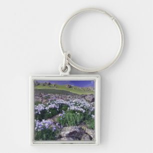 Mountains and wildflowers in alpine meadow, keychain