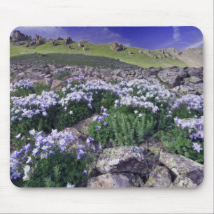 Mountains and wildflowers in alpine meadow, mouse pad