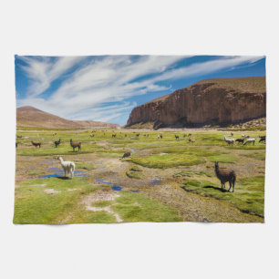 Mountains   Bolivian Andes Kitchen Towel