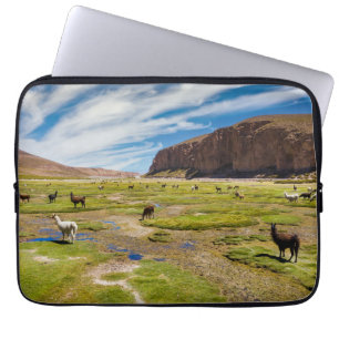 Mountains Bolivian Andes Laptop Sleeve