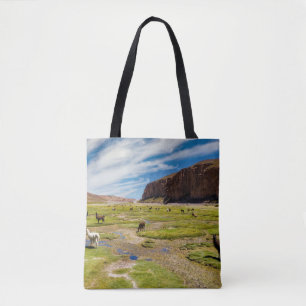 Mountains Bolivian Andes Tote Bag