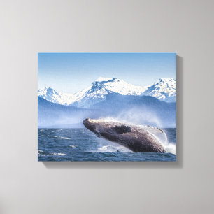 Mountains   Breaching Whale Glacier Bay, Alaska Canvas Print