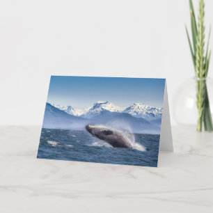 Mountains Breaching Whale Glacier Bay, Alaska Card
