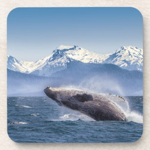 Mountains Breaching Whale Glacier Bay, Alaska Coaster