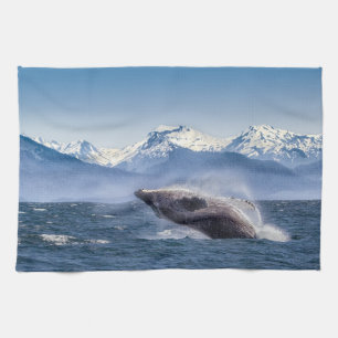 Mountains   Breaching Whale Glacier Bay, Alaska Kitchen Towel