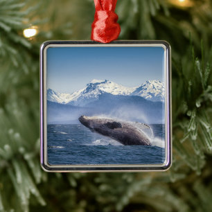 Mountains   Breaching Whale Glacier Bay, Alaska Metal Ornament