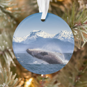 Mountains   Breaching Whale Glacier Bay, Alaska Ornament