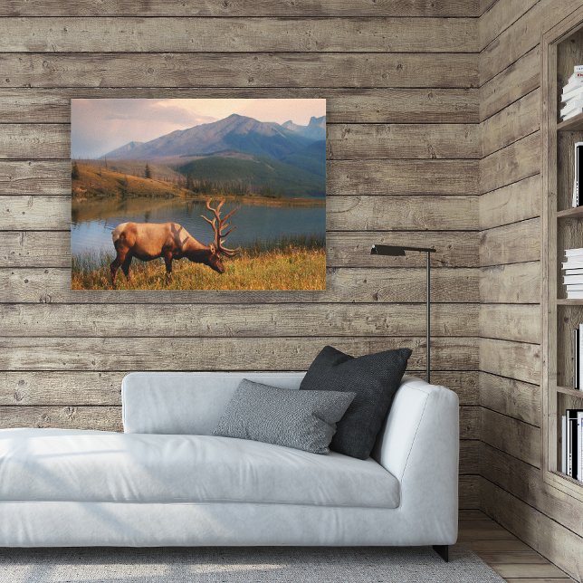 Mountains | Jacques Mountain Range Alberta Canada Canvas Print (Creator Uploaded)