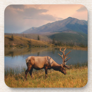 Mountains Jacques Mountain Range Alberta Canada Coaster