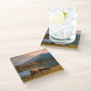 Mountains Jacques Mountain Range Alberta Canada Glass Coaster