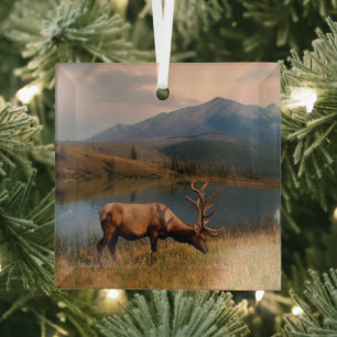 Mountains   Jacques Mountain Range Alberta Canada Glass Ornament